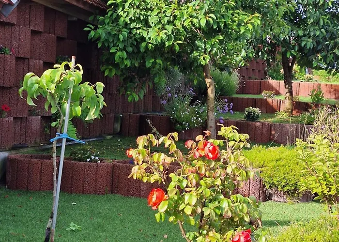 Apartamento Wandersruh Thale